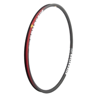 ALIENATION Mischief G69 Rim 29er 36H (Matt Black) (Non-Brake) TCS2.0