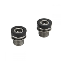 INSIGHT Crank Bolt M15x13x1.0 (ISIS)