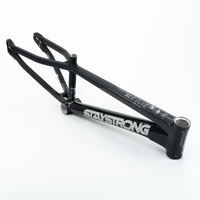 Staystrong Junior Frame V5 Disc (Black-Black)