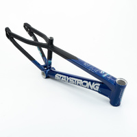 Staystrong Junior Frame V5 Disc (Black-Navy)