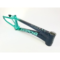 Staystrong Pro Frame V5 Disc (Charcoal-Mint)