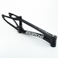 Staystrong Pro-XXXL Frame V5 Disc (Black-Black)