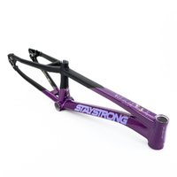 Staystrong Expert XL 24" Frame V5 Disc (Black-Purple)